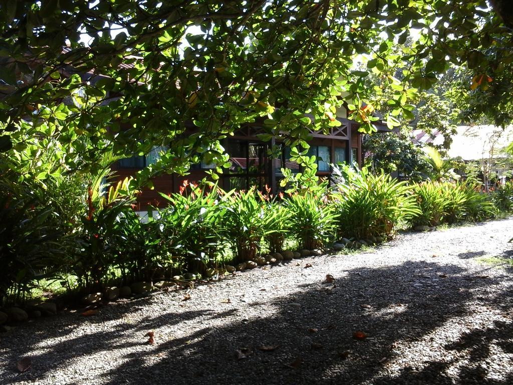 Kenaki Lodge Puerto Viejo de Talamanca ภายนอก รูปภาพ