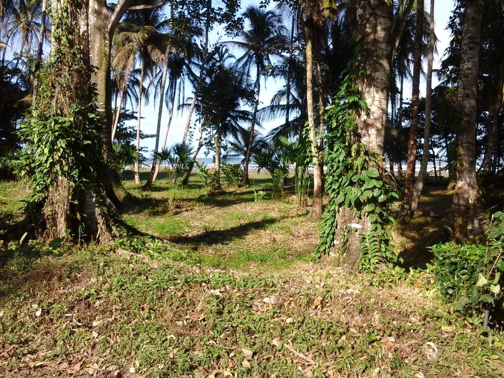 Kenaki Lodge Puerto Viejo de Talamanca ภายนอก รูปภาพ