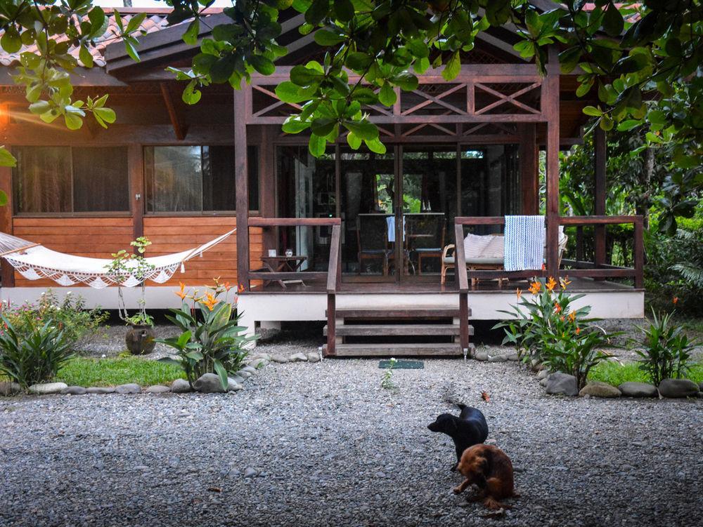 Kenaki Lodge Puerto Viejo de Talamanca ภายนอก รูปภาพ