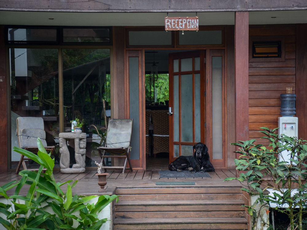 Kenaki Lodge Puerto Viejo de Talamanca ภายนอก รูปภาพ